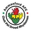 Ammanford AFC