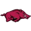 Arkansas Razorbacks