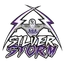ASA College Silver Storm