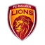 Bulleen Lions 