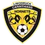 Carinthians Hornets