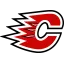 Centennial Cougars