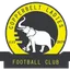 Copperbelt F.C.