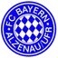 FC Bayern Alzenau
