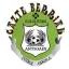 Gazte Berriak