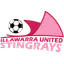 Illawarra Stingrays