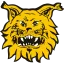 Ilves