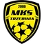 MKS Trzebinia