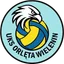 Orlęta Wielenin