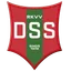 RKVV DSS