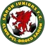 Saron Juniors