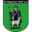 SV Hegnach
