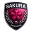 Taichung Sakura