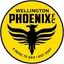 Wellington Phoenix Academy