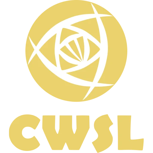 Chinese Super League