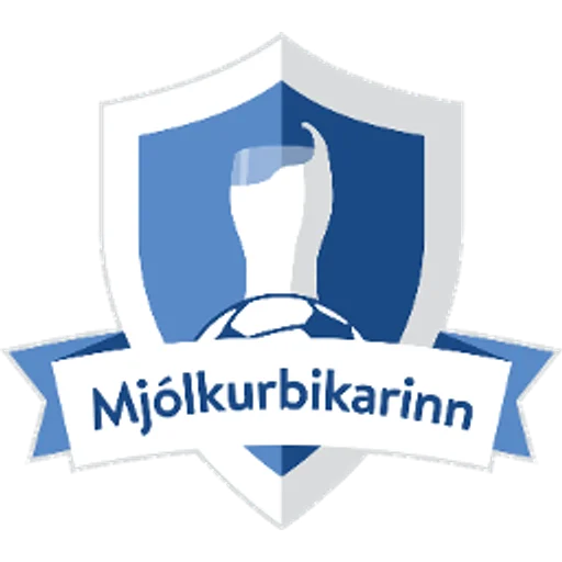 Icelandic Cup